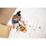 40 Piece Jigsaw Puzzle