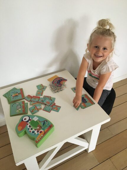 Visual Perception Game