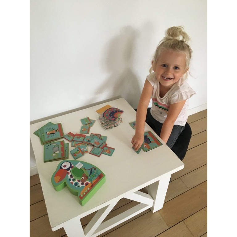 Visual Perception Game