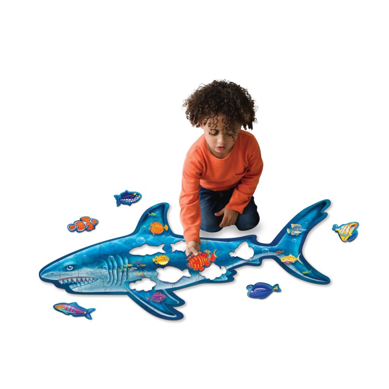 shark puzzle