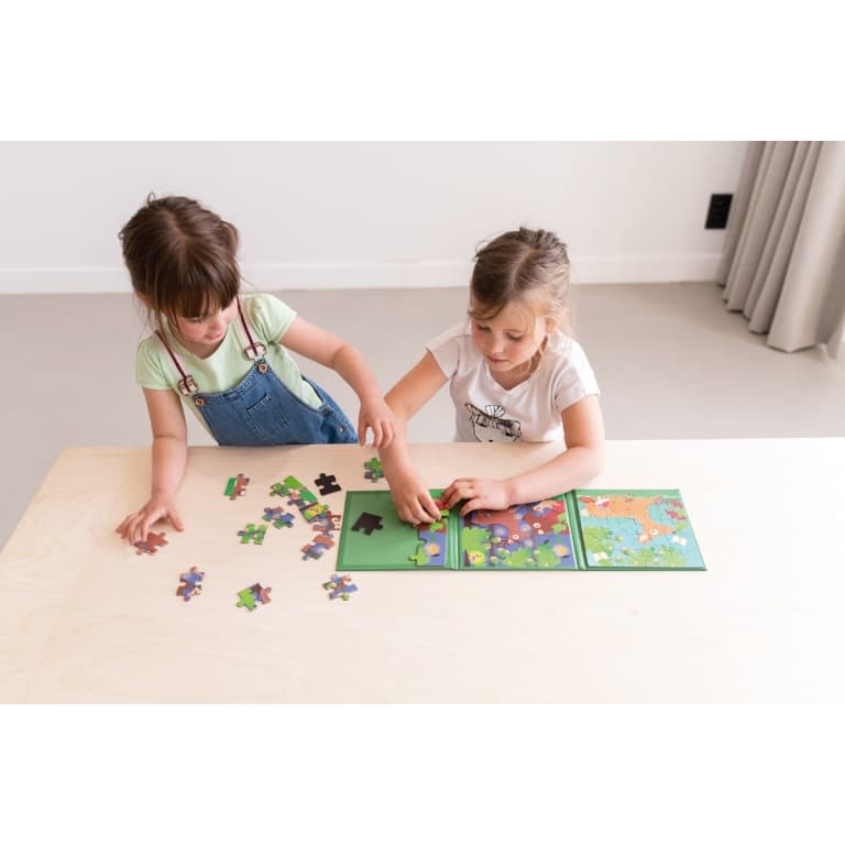 Magnetic Puzzle