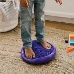 wobble cushion