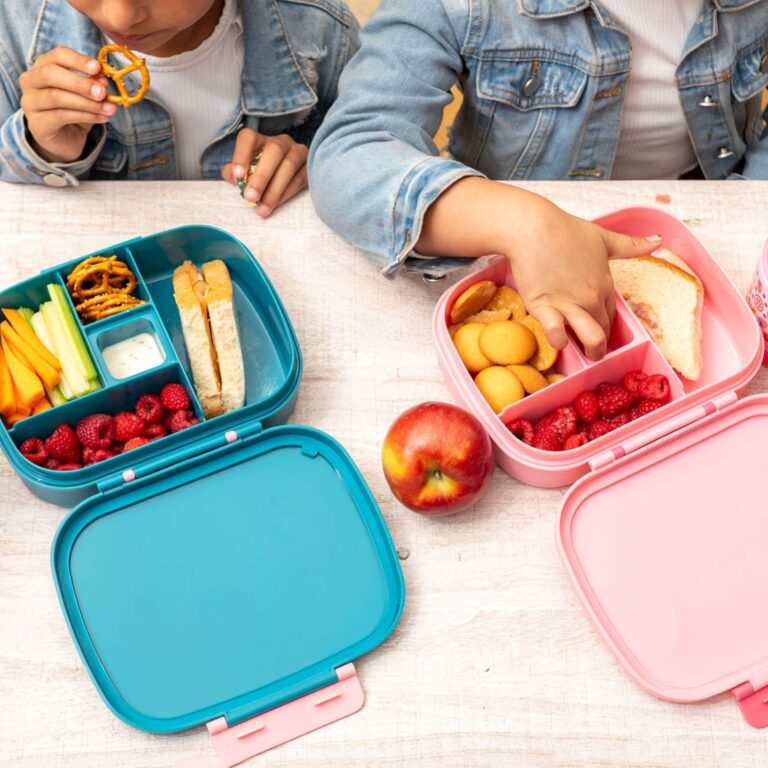 bento lunch box
