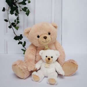 Histoire d' Ours Cuddle Teddy Bear in Gift Box