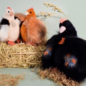 Histoire d' Ours The Little Hens Plush Toys Collection
